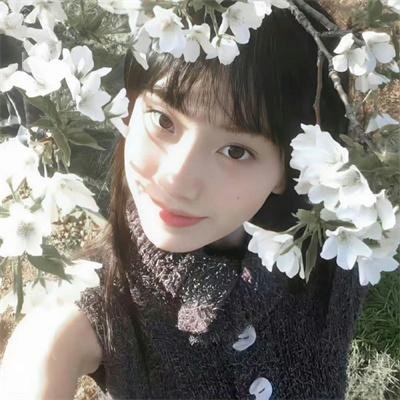 权力之子