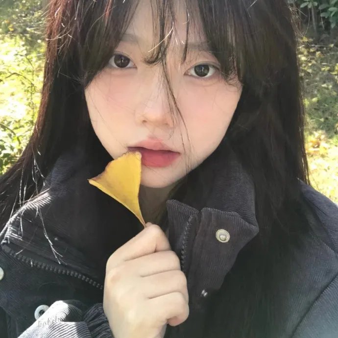 龙门村的故事
